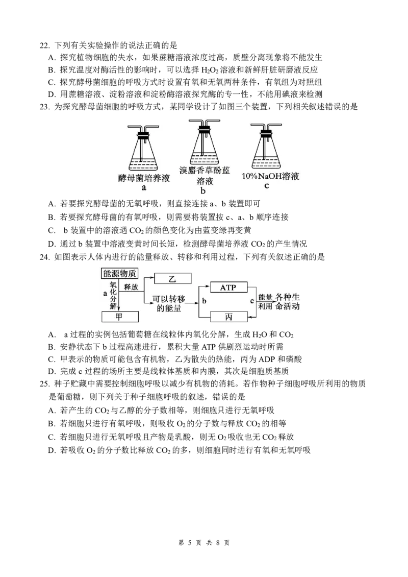 生物_2024年12月试卷_1210四川省绵阳市南山中学2024-2025学年高一上学期12月月考_四川省绵阳市南山中学2024-2025学年高一上学期12月月考生物试题PDF版含答案