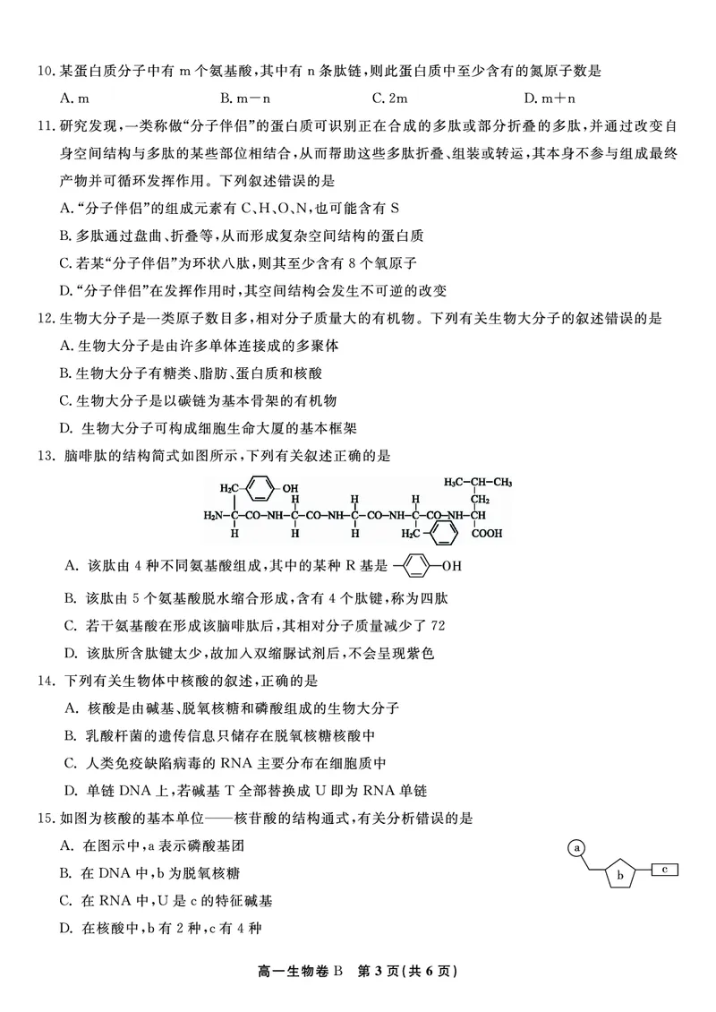 生物试题B&middot;安徽省皖江名校联盟2025-2026学年高一上学期期中联考_2025年11月高一试卷_251121安徽省皖江名校联盟2025-2026学年高一上学期期中联考（全）