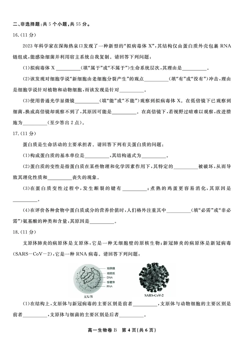 生物试题B&middot;安徽省皖江名校联盟2025-2026学年高一上学期期中联考_2025年11月高一试卷_251121安徽省皖江名校联盟2025-2026学年高一上学期期中联考（全）