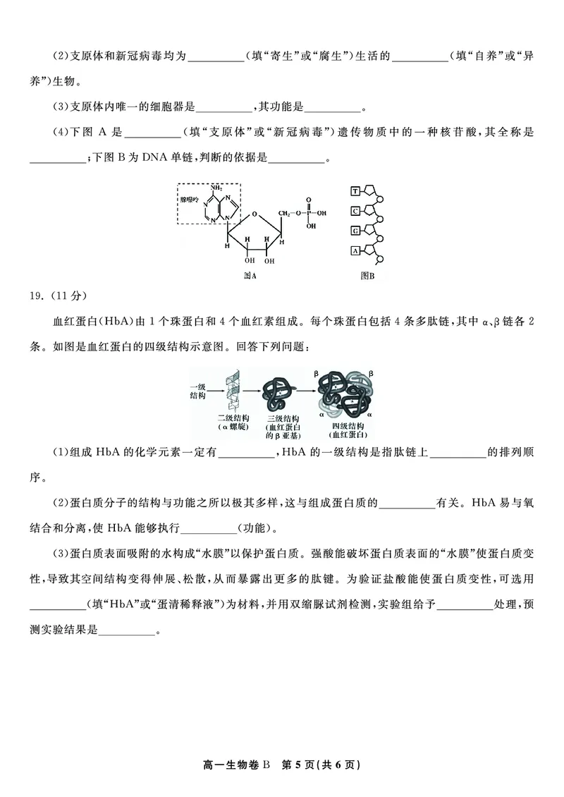 生物试题B&middot;安徽省皖江名校联盟2025-2026学年高一上学期期中联考_2025年11月高一试卷_251121安徽省皖江名校联盟2025-2026学年高一上学期期中联考（全）