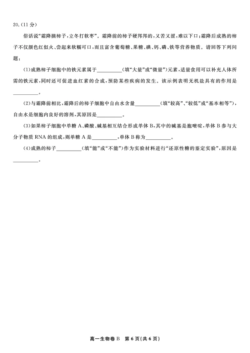生物试题B&middot;安徽省皖江名校联盟2025-2026学年高一上学期期中联考_2025年11月高一试卷_251121安徽省皖江名校联盟2025-2026学年高一上学期期中联考（全）