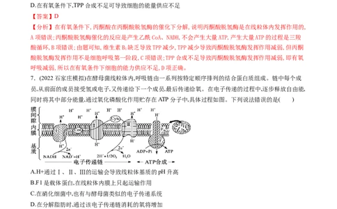 第11讲细胞代谢综合分析（练习）（解析版）_新高考复习资料_2024年新高考复习资料_一轮复习资料_完2024年高考生物一轮复习讲练测(课件+讲义+练习)（新高考）_讲义+练习