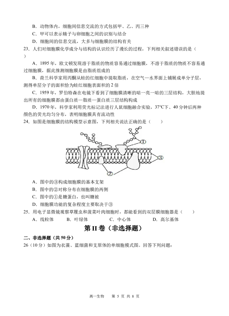 生物试题_2025年12月高一试卷_251210四川省遂宁市射洪中学2025-2026学年高一上学期12月月考试题（全）_四川省遂宁市射洪中学2025-2026学年高一上学期12月月考试题生物Word版含答案