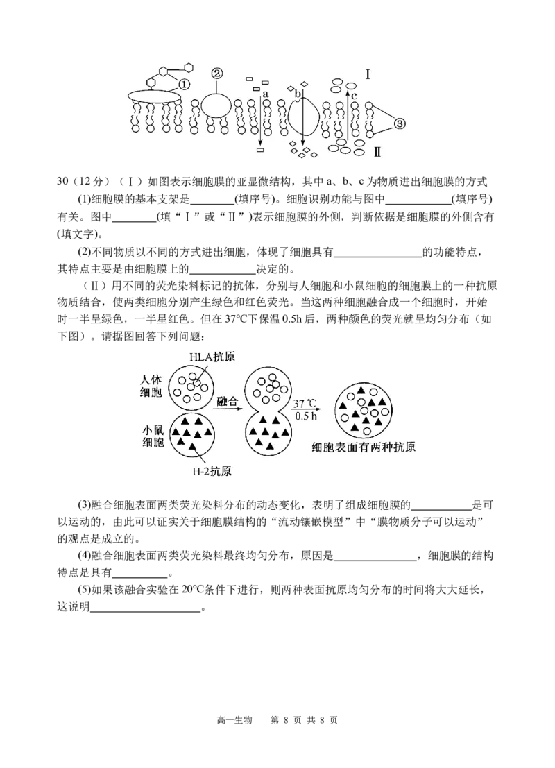 生物试题_2025年12月高一试卷_251210四川省遂宁市射洪中学2025-2026学年高一上学期12月月考试题（全）_四川省遂宁市射洪中学2025-2026学年高一上学期12月月考试题生物Word版含答案
