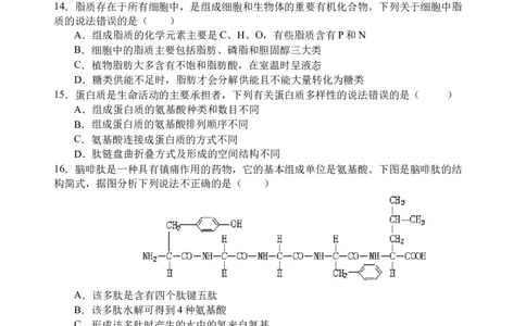 生物试题_2025年12月高一试卷_251210四川省遂宁市射洪中学2025-2026学年高一上学期12月月考试题（全）_四川省遂宁市射洪中学2025-2026学年高一上学期12月月考试题生物Word版含答案