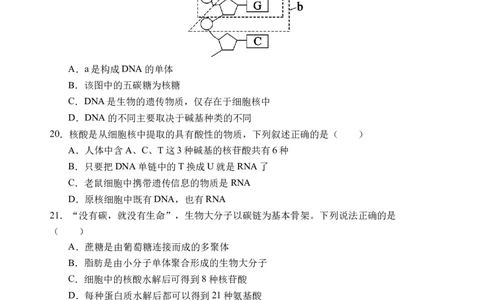 生物试题_2025年12月高一试卷_251210四川省遂宁市射洪中学2025-2026学年高一上学期12月月考试题（全）_四川省遂宁市射洪中学2025-2026学年高一上学期12月月考试题生物Word版含答案