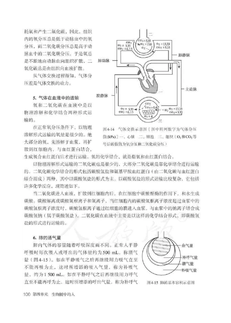 生物学七年级下册教师用书_电子课本_初中教学用书_人教版