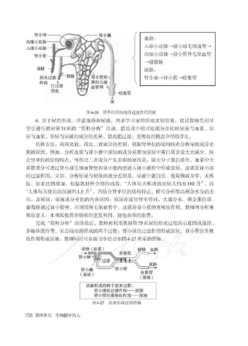 生物学七年级下册教师用书_电子课本_初中教学用书_人教版