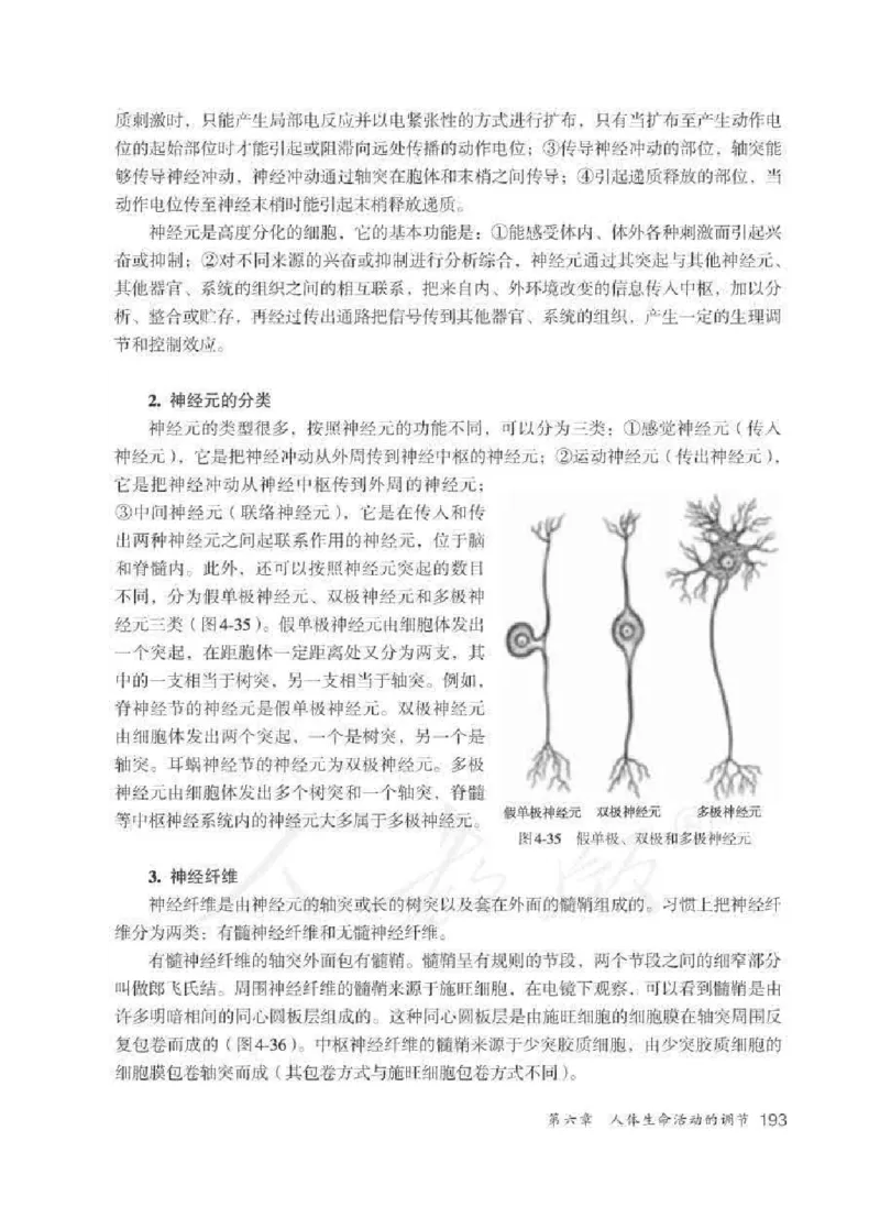 生物学七年级下册教师用书_电子课本_初中教学用书_人教版
