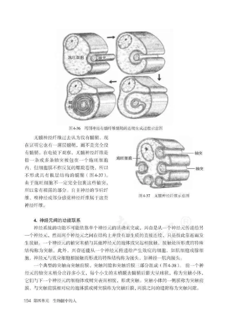 生物学七年级下册教师用书_电子课本_初中教学用书_人教版