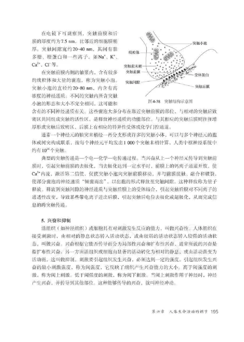 生物学七年级下册教师用书_电子课本_初中教学用书_人教版