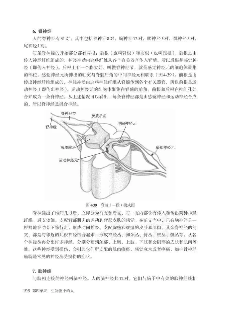 生物学七年级下册教师用书_电子课本_初中教学用书_人教版
