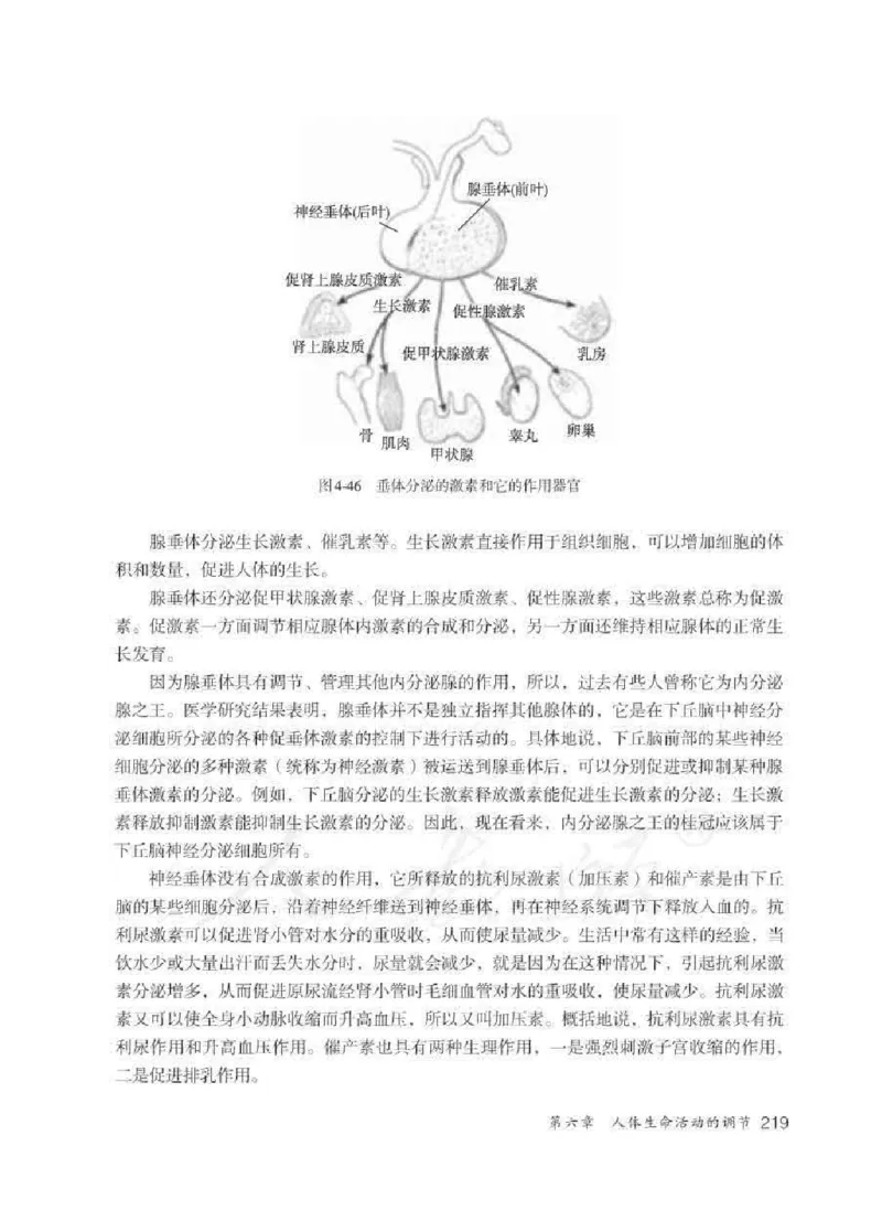 生物学七年级下册教师用书_电子课本_初中教学用书_人教版