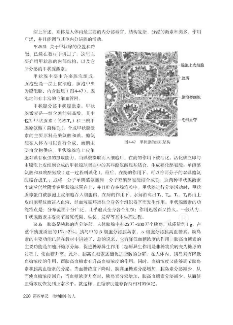 生物学七年级下册教师用书_电子课本_初中教学用书_人教版
