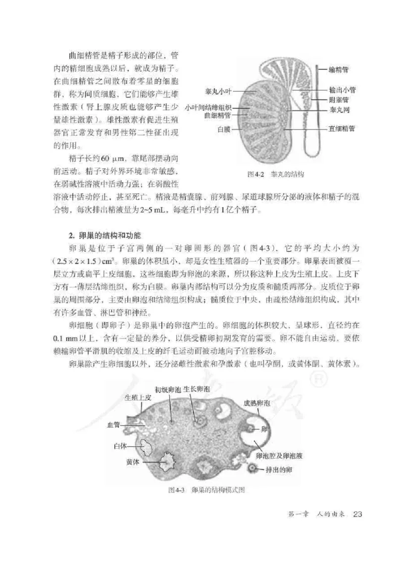 生物学七年级下册教师用书_电子课本_初中教学用书_人教版