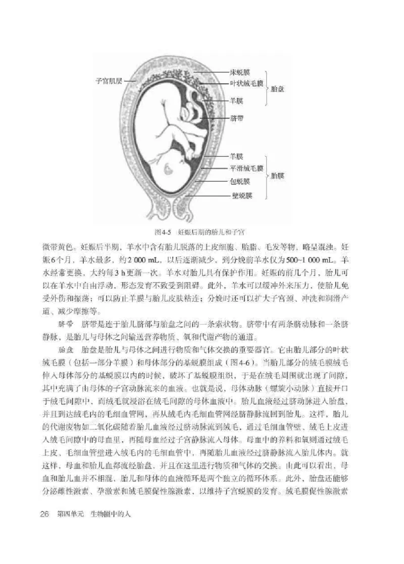 生物学七年级下册教师用书_电子课本_初中教学用书_人教版