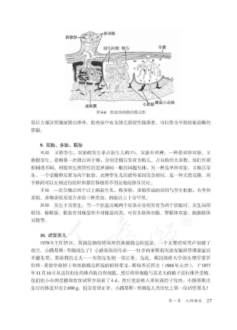 生物学七年级下册教师用书_电子课本_初中教学用书_人教版