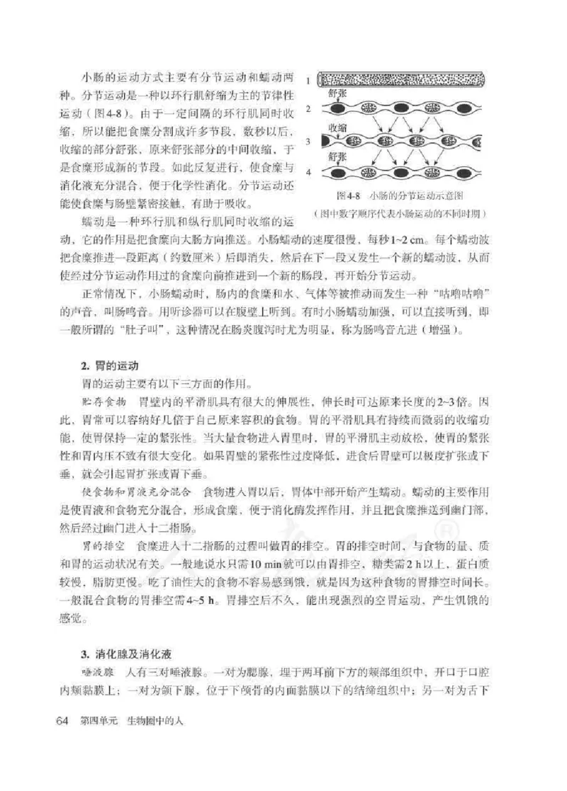 生物学七年级下册教师用书_电子课本_初中教学用书_人教版