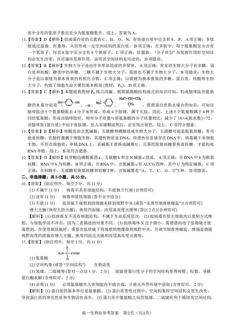 生物答案B&middot;安徽省皖江名校联盟2025-2026学年高一上学期期中联考_2025年11月高一试卷_251121安徽省皖江名校联盟2025-2026学年高一上学期期中联考（全）