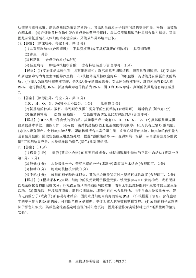 生物答案B&middot;安徽省皖江名校联盟2025-2026学年高一上学期期中联考_2025年11月高一试卷_251121安徽省皖江名校联盟2025-2026学年高一上学期期中联考（全）