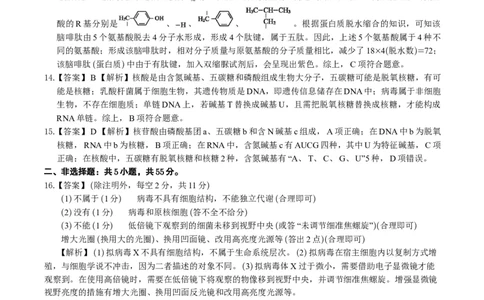 生物答案B&middot;安徽省皖江名校联盟2025-2026学年高一上学期期中联考_2025年11月高一试卷_251121安徽省皖江名校联盟2025-2026学年高一上学期期中联考（全）