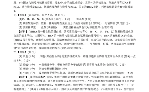 生物答案B&middot;安徽省皖江名校联盟2025-2026学年高一上学期期中联考_2025年11月高一试卷_251121安徽省皖江名校联盟2025-2026学年高一上学期期中联考（全）