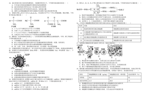 生物试卷_2025年12月高一试卷_251210黑龙江省大庆市大庆中学2025-2026学年高一上学期11月期中考试（全）