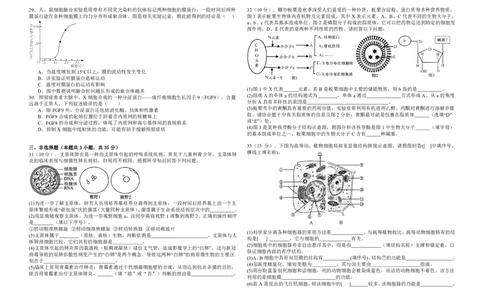 生物试卷_2025年12月高一试卷_251210黑龙江省大庆市大庆中学2025-2026学年高一上学期11月期中考试（全）