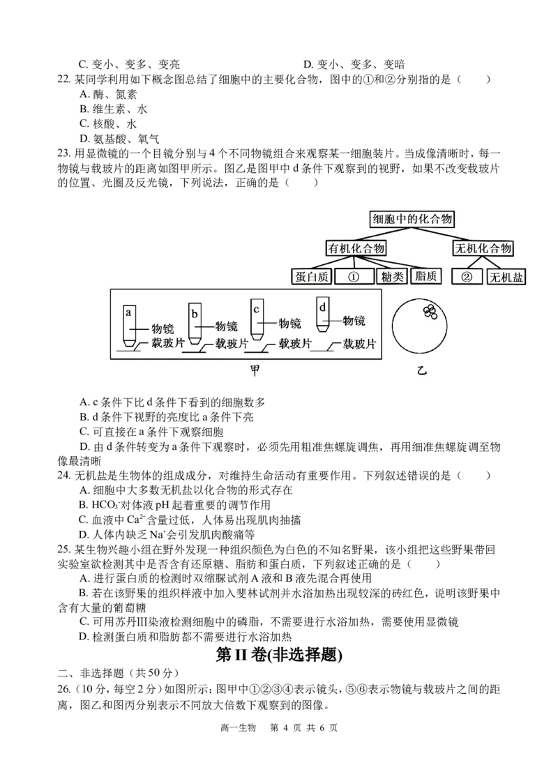 生物试题_2025年10月高一试卷_251026四川省遂宁市射洪中学2025-2026学年高一上学期10月月考试题（全）_四川省遂宁市射洪中学2025-2026学年高一上学期10月月考试题生物Word版含答案