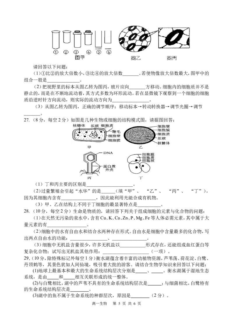 生物试题_2025年10月高一试卷_251026四川省遂宁市射洪中学2025-2026学年高一上学期10月月考试题（全）_四川省遂宁市射洪中学2025-2026学年高一上学期10月月考试题生物Word版含答案