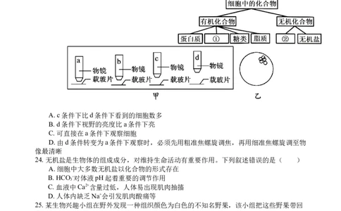 生物试题_2025年10月高一试卷_251026四川省遂宁市射洪中学2025-2026学年高一上学期10月月考试题（全）_四川省遂宁市射洪中学2025-2026学年高一上学期10月月考试题生物Word版含答案