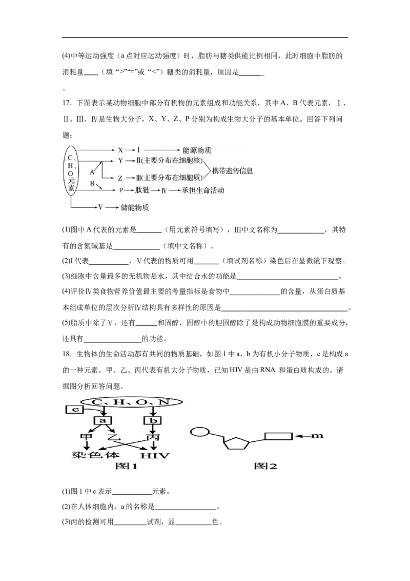 福建省龙岩市连城县第一中学2025-2026学年高一上学期10月月考生物试题（含答案）_2025年10月高一试卷_251023福建省龙岩市连城县第一中学2025-2026学年高一上学期10月月考