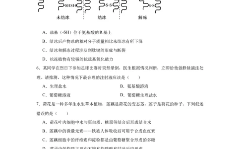 福建省龙岩市连城县第一中学2025-2026学年高一上学期10月月考生物试题（含答案）_2025年10月高一试卷_251023福建省龙岩市连城县第一中学2025-2026学年高一上学期10月月考