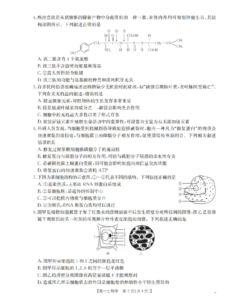 生物学_扫描版_2026年02月高一试卷_260208青海省多校2028届高一上学期1月月考（全）