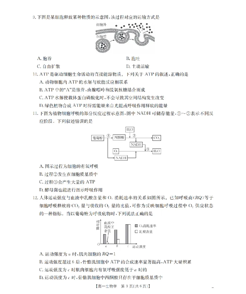 生物学_扫描版_2026年02月高一试卷_260208青海省多校2028届高一上学期1月月考（全）