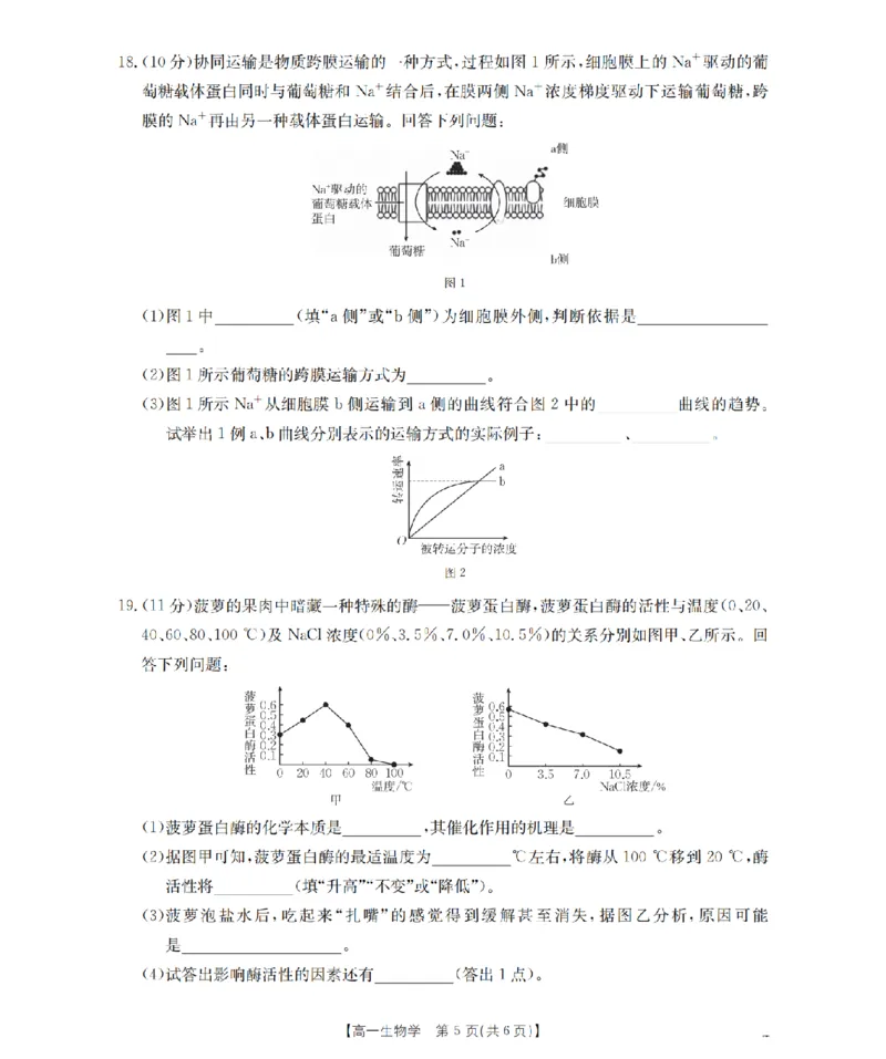生物学_扫描版_2026年02月高一试卷_260208青海省多校2028届高一上学期1月月考（全）