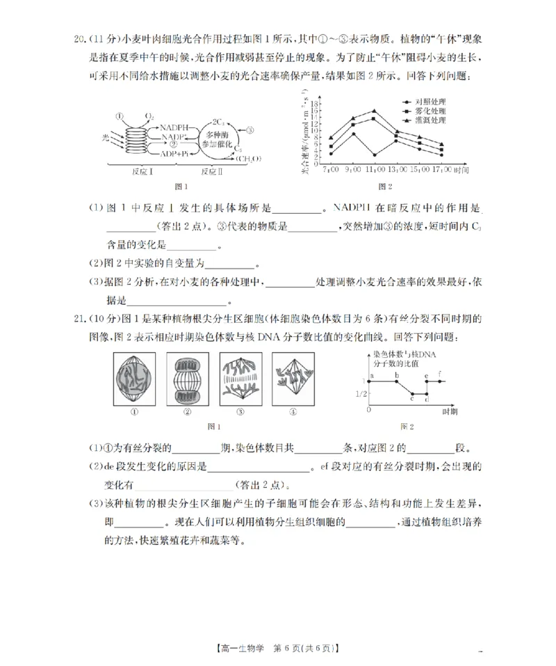 生物学_扫描版_2026年02月高一试卷_260208青海省多校2028届高一上学期1月月考（全）