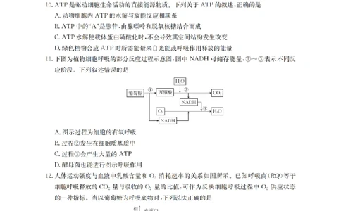 生物学_扫描版_2026年02月高一试卷_260208青海省多校2028届高一上学期1月月考（全）