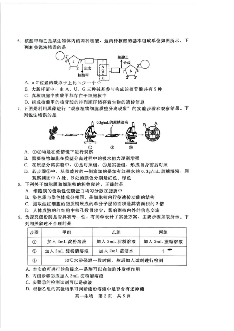 生物_2026年02月高一试卷_260206河北省邯郸市魏县NT20考试2025-2026学年高一上学期1月月考_河北省邯郸市魏县NT20考试2025-2026学年高一上学期1月月考生物试题（PDF版，含答案）