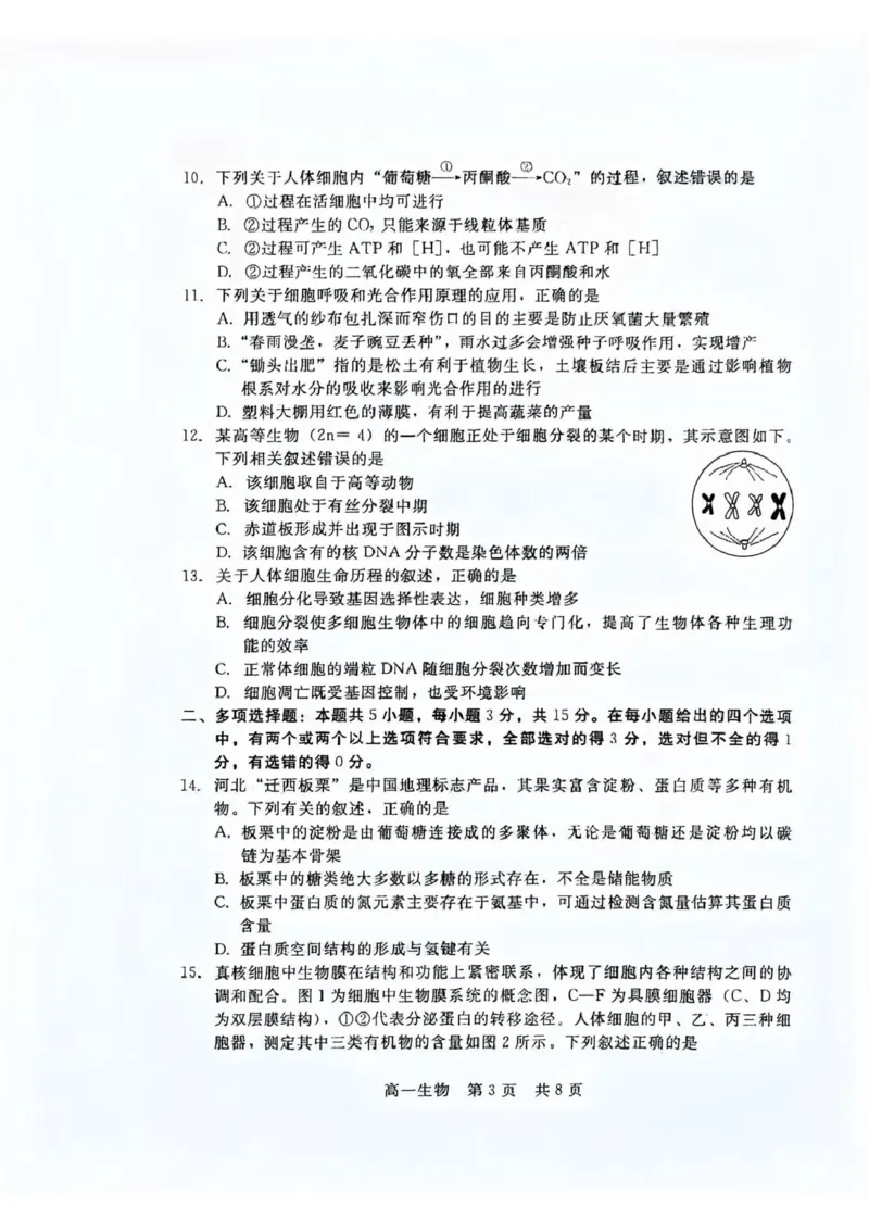 生物_2026年02月高一试卷_260206河北省邯郸市魏县NT20考试2025-2026学年高一上学期1月月考_河北省邯郸市魏县NT20考试2025-2026学年高一上学期1月月考生物试题（PDF版，含答案）