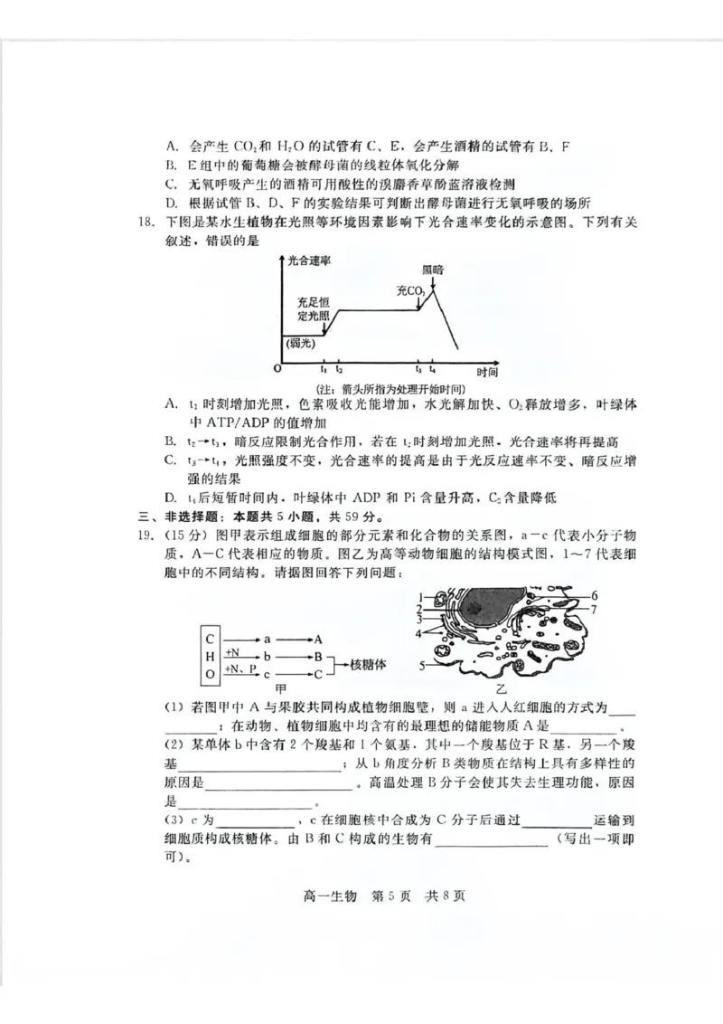 生物_2026年02月高一试卷_260206河北省邯郸市魏县NT20考试2025-2026学年高一上学期1月月考_河北省邯郸市魏县NT20考试2025-2026学年高一上学期1月月考生物试题（PDF版，含答案）