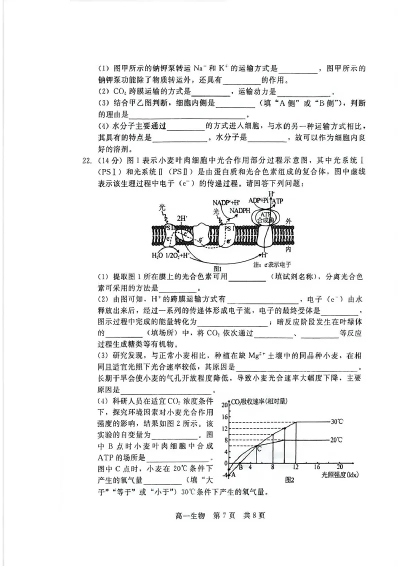 生物_2026年02月高一试卷_260206河北省邯郸市魏县NT20考试2025-2026学年高一上学期1月月考_河北省邯郸市魏县NT20考试2025-2026学年高一上学期1月月考生物试题（PDF版，含答案）