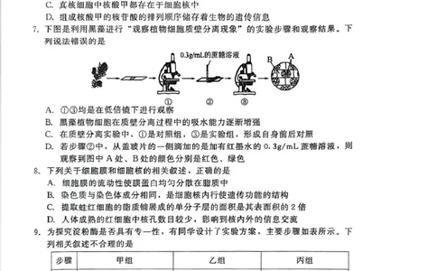 生物_2026年02月高一试卷_260206河北省邯郸市魏县NT20考试2025-2026学年高一上学期1月月考_河北省邯郸市魏县NT20考试2025-2026学年高一上学期1月月考生物试题（PDF版，含答案）