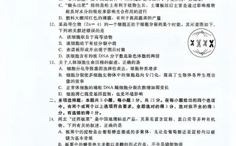生物_2026年02月高一试卷_260206河北省邯郸市魏县NT20考试2025-2026学年高一上学期1月月考_河北省邯郸市魏县NT20考试2025-2026学年高一上学期1月月考生物试题（PDF版，含答案）