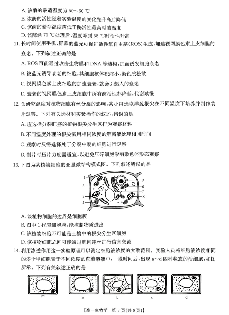 生物_2026年02月高一试卷_260203金太阳&middot;广东省2028届高一上学期1月期末联考248A（全）