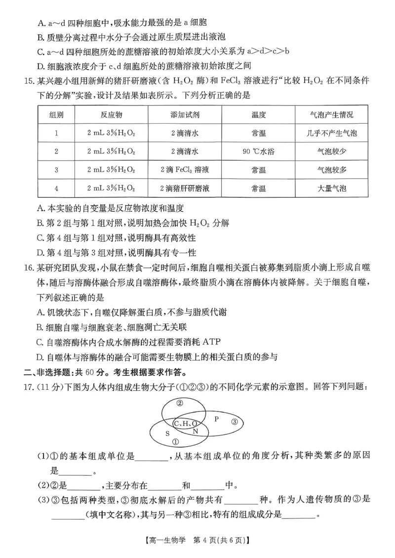 生物_2026年02月高一试卷_260203金太阳&middot;广东省2028届高一上学期1月期末联考248A（全）