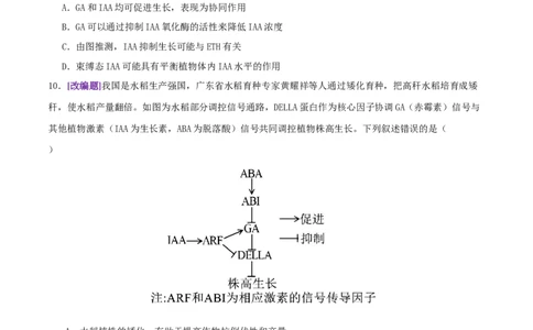 第13讲+植物生命活动的调节（专项训练，3大题型）（原卷版）_2025年新高考资料_二轮复习_01高考语文等多个文件_上好课2025年高考生物二轮复习讲练测（新高考通用）