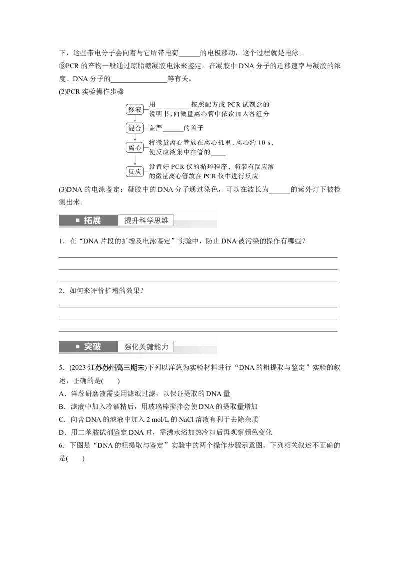 第10单元　第6课时　基因工程的基本工具和基本操作程序_新高考复习资料_2024年新高考复习资料_一轮复习资料_完2024生物步步高大一轮复习（课件+讲义）_学生版在此文件夹