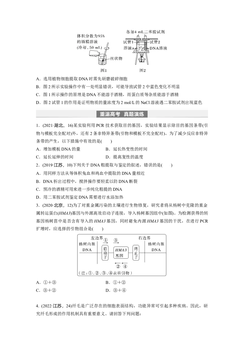 第10单元　第6课时　基因工程的基本工具和基本操作程序_新高考复习资料_2024年新高考复习资料_一轮复习资料_完2024生物步步高大一轮复习（课件+讲义）_学生版在此文件夹