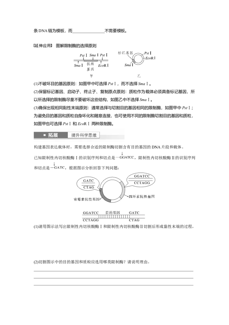第10单元　第6课时　基因工程的基本工具和基本操作程序_新高考复习资料_2024年新高考复习资料_一轮复习资料_完2024生物步步高大一轮复习（课件+讲义）_学生版在此文件夹